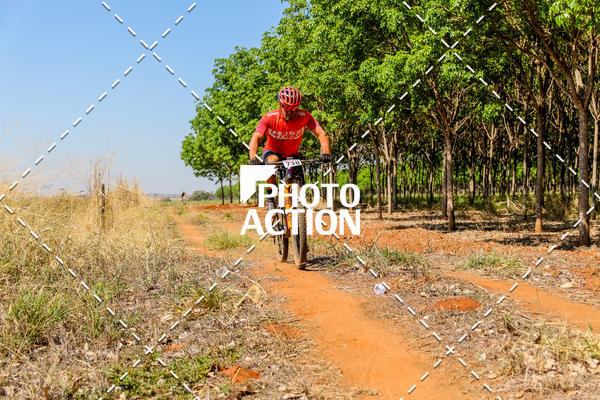 Buy your photos of the eventEtapa Final - ALIGA on Fotop