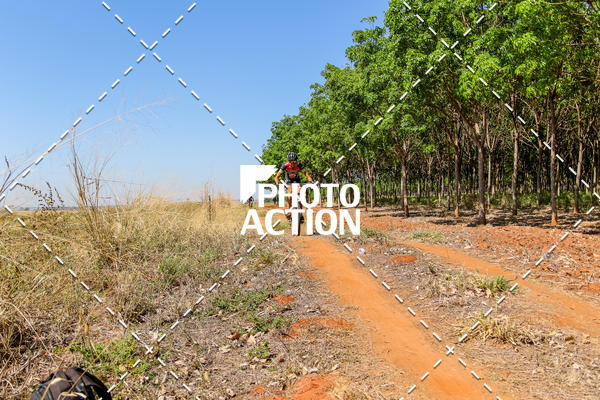 Buy your photos of the eventEtapa Final - ALIGA on Fotop