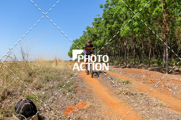 Buy your photos of the eventEtapa Final - ALIGA on Fotop