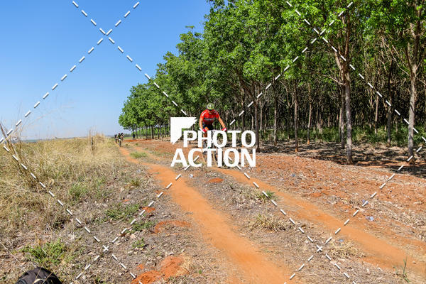 Buy your photos of the eventEtapa Final - ALIGA on Fotop