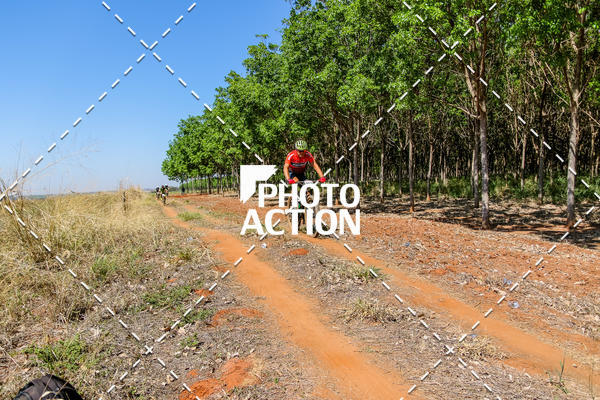 Buy your photos of the eventEtapa Final - ALIGA on Fotop