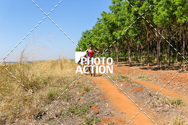 Buy your photos of the eventEtapa Final - ALIGA on Fotop