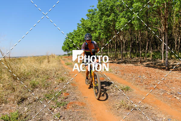 Buy your photos of the eventEtapa Final - ALIGA on Fotop