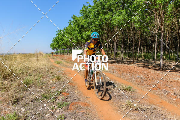 Buy your photos of the eventEtapa Final - ALIGA on Fotop