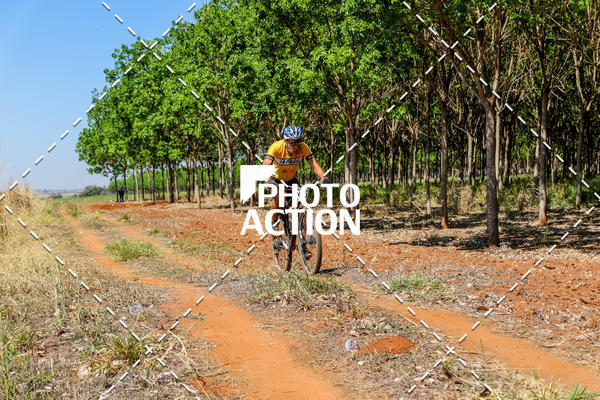 Buy your photos of the eventEtapa Final - ALIGA on Fotop