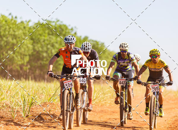 Buy your photos of the eventEtapa Final - ALIGA on Fotop