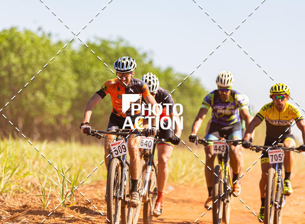 Buy your photos of the eventEtapa Final - ALIGA on Fotop