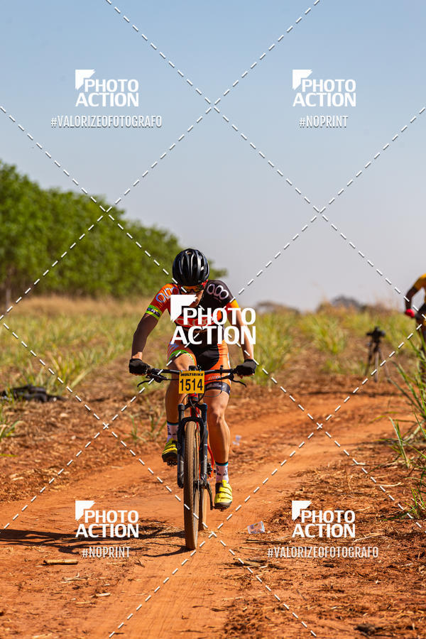 Buy your photos of the eventEtapa Final - ALIGA on Fotop