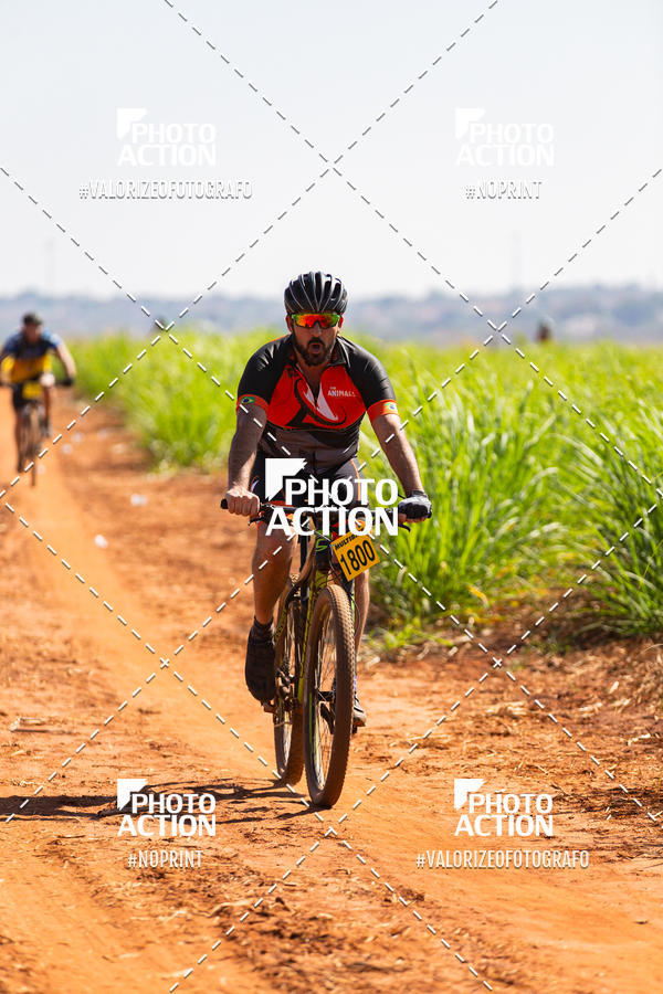 Buy your photos of the eventEtapa Final - ALIGA on Fotop