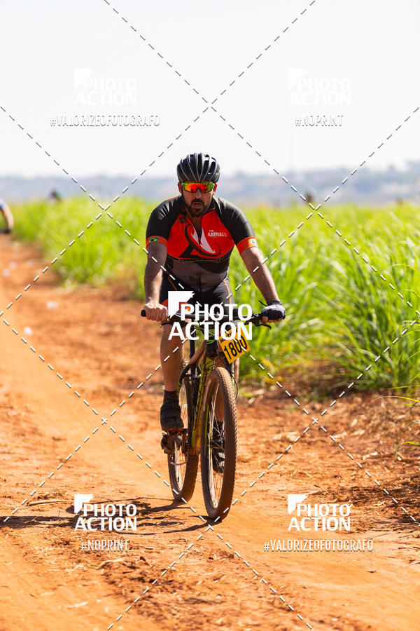 Buy your photos of the eventEtapa Final - ALIGA on Fotop