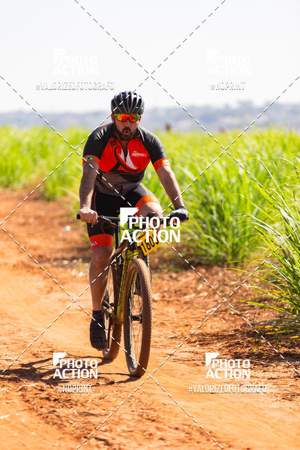 Buy your photos of the eventEtapa Final - ALIGA on Fotop