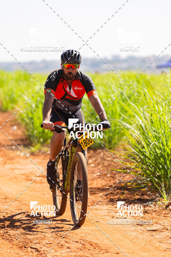 Buy your photos of the eventEtapa Final - ALIGA on Fotop