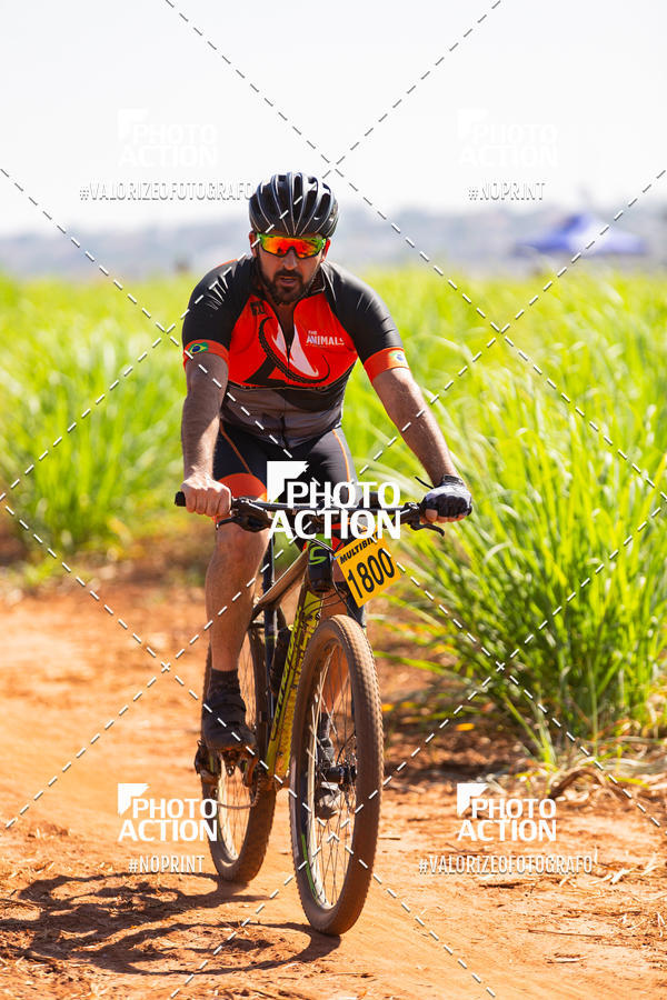 Buy your photos of the eventEtapa Final - ALIGA on Fotop