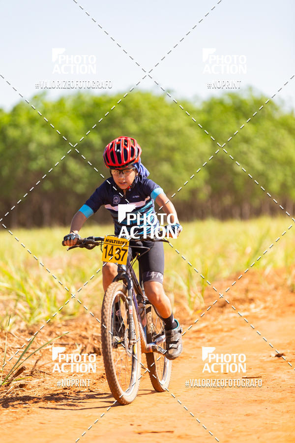 Buy your photos of the eventEtapa Final - ALIGA on Fotop