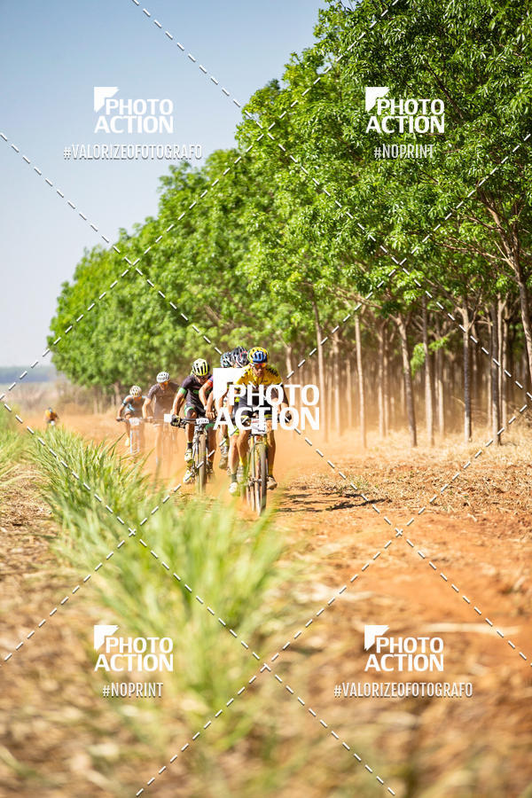 Buy your photos of the eventEtapa Final - ALIGA on Fotop