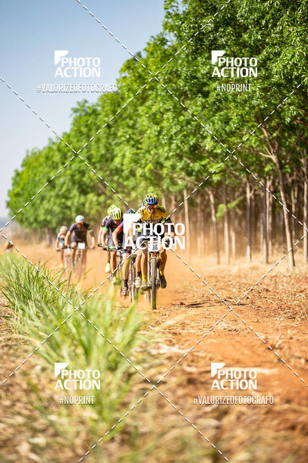 Buy your photos of the eventEtapa Final - ALIGA on Fotop