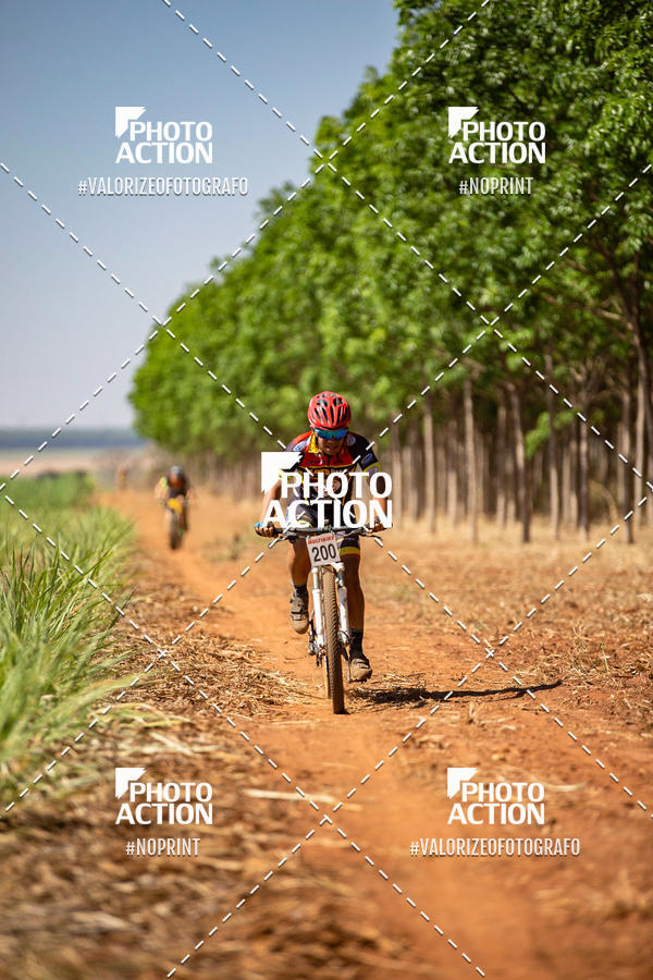 Buy your photos of the eventEtapa Final - ALIGA on Fotop