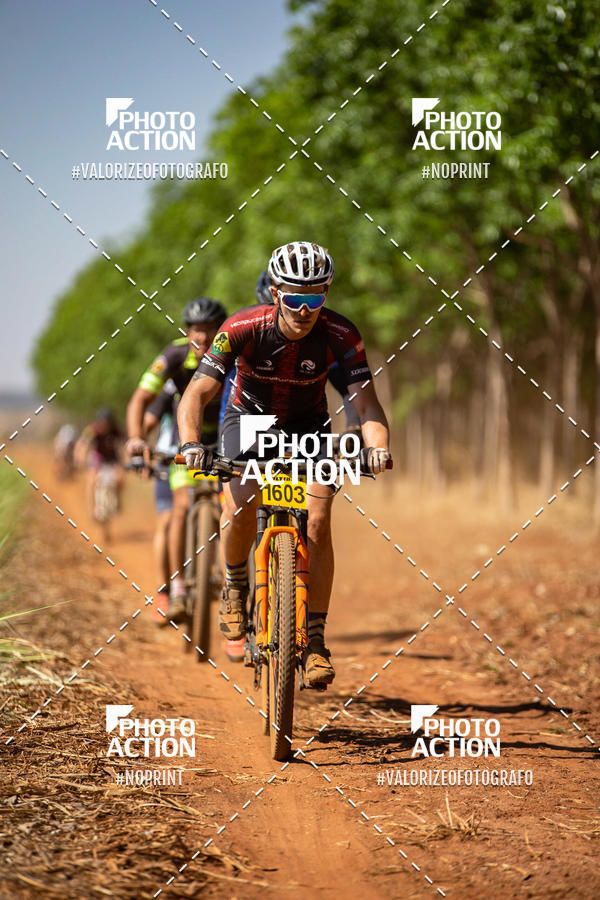 Buy your photos of the eventEtapa Final - ALIGA on Fotop
