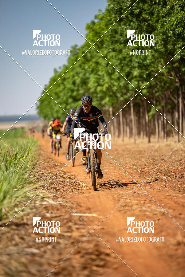 Buy your photos of the eventEtapa Final - ALIGA on Fotop