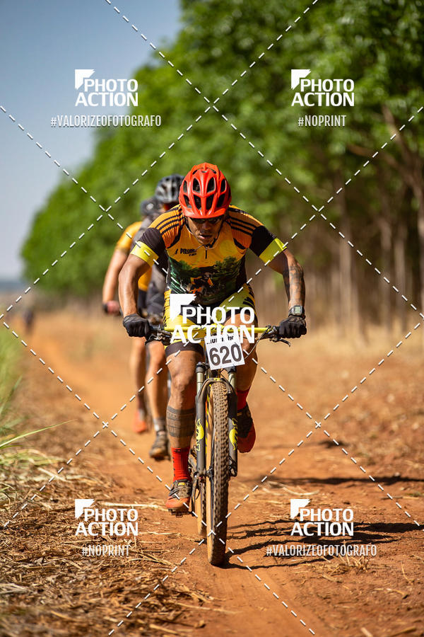 Buy your photos of the eventEtapa Final - ALIGA on Fotop