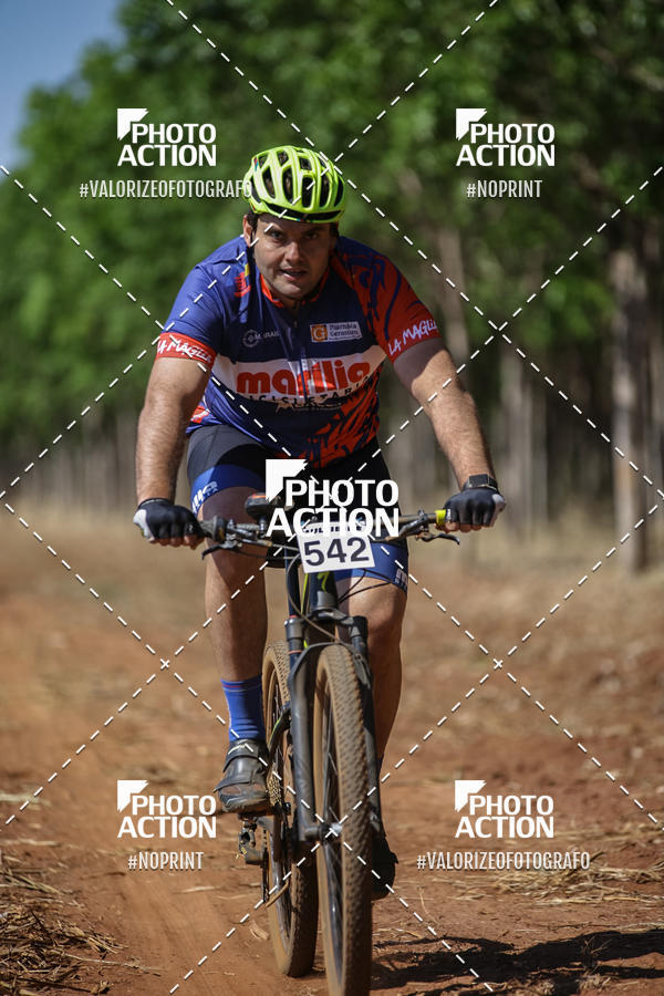 Buy your photos of the eventEtapa Final - ALIGA on Fotop