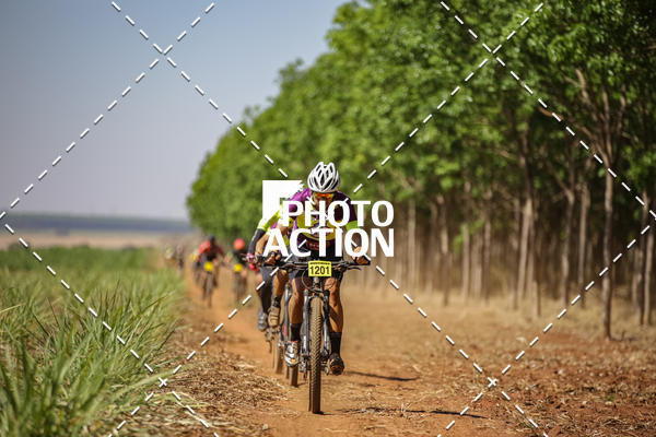Buy your photos of the eventEtapa Final - ALIGA on Fotop