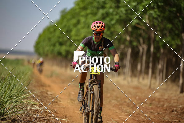 Buy your photos of the eventEtapa Final - ALIGA on Fotop
