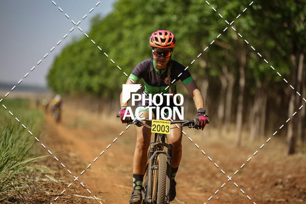 Buy your photos of the eventEtapa Final - ALIGA on Fotop