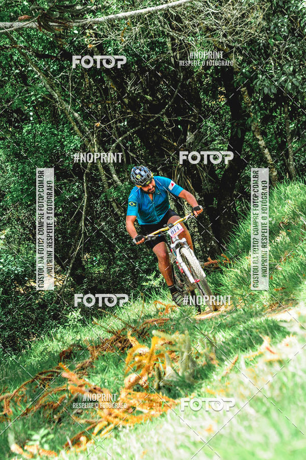 Acquista le foto dell'eventoCircuito das Malhas  in Fotop