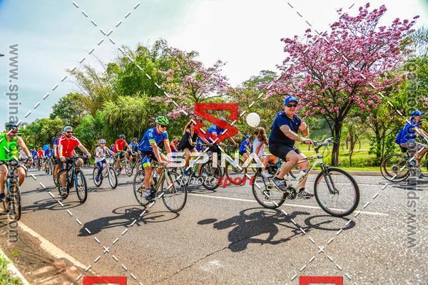 Buy your photos of the eventPEDALA RIBEIRO 2019 on Fotop