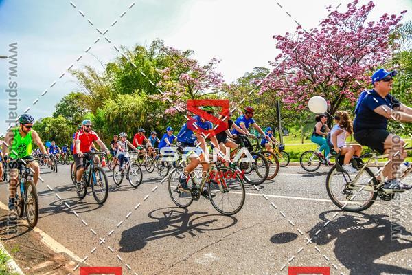 Buy your photos of the eventPEDALA RIBEIRO 2019 on Fotop