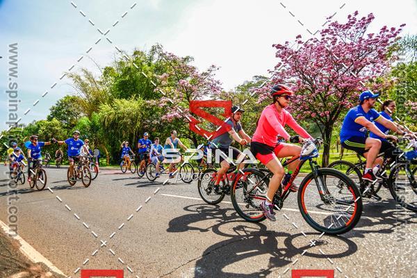 Buy your photos of the eventPEDALA RIBEIRO 2019 on Fotop