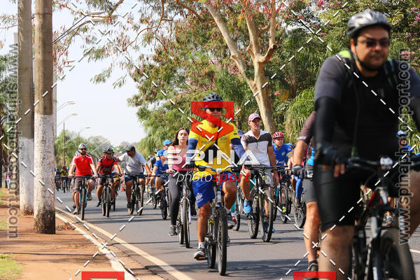 Buy your photos of the eventPEDALA RIBEIRO 2019 on Fotop