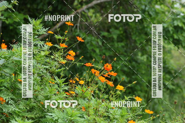 Buy your photos of the eventCopa das Vertentes - Etapa Final on Fotop