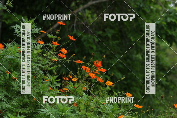 Buy your photos of the eventCopa das Vertentes - Etapa Final on Fotop