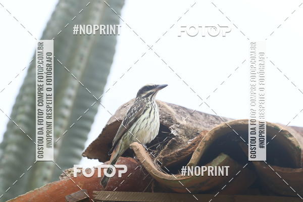 Buy your photos of the eventCopa das Vertentes - Etapa Final on Fotop