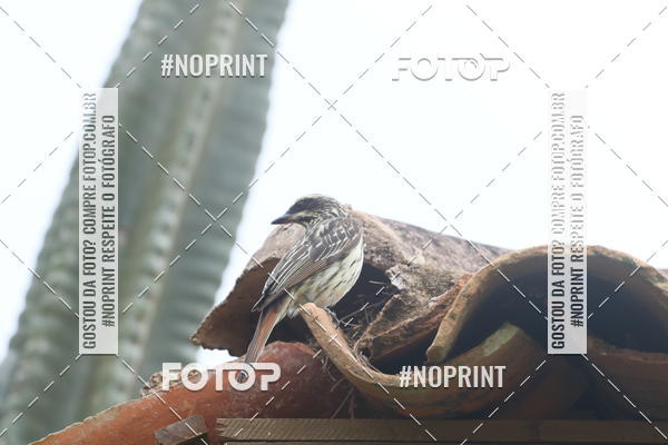 Buy your photos of the eventCopa das Vertentes - Etapa Final on Fotop