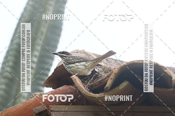Buy your photos of the eventCopa das Vertentes - Etapa Final on Fotop