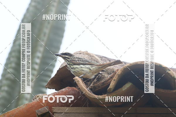 Buy your photos of the eventCopa das Vertentes - Etapa Final on Fotop