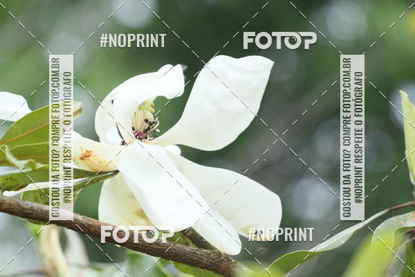 Buy your photos of the eventCopa das Vertentes - Etapa Final on Fotop