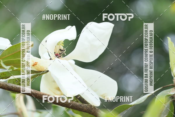 Buy your photos of the eventCopa das Vertentes - Etapa Final on Fotop