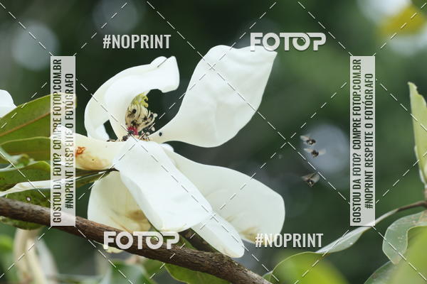 Buy your photos of the eventCopa das Vertentes - Etapa Final on Fotop