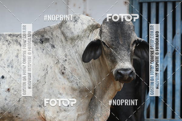 Buy your photos of the eventCopa das Vertentes - Etapa Final on Fotop