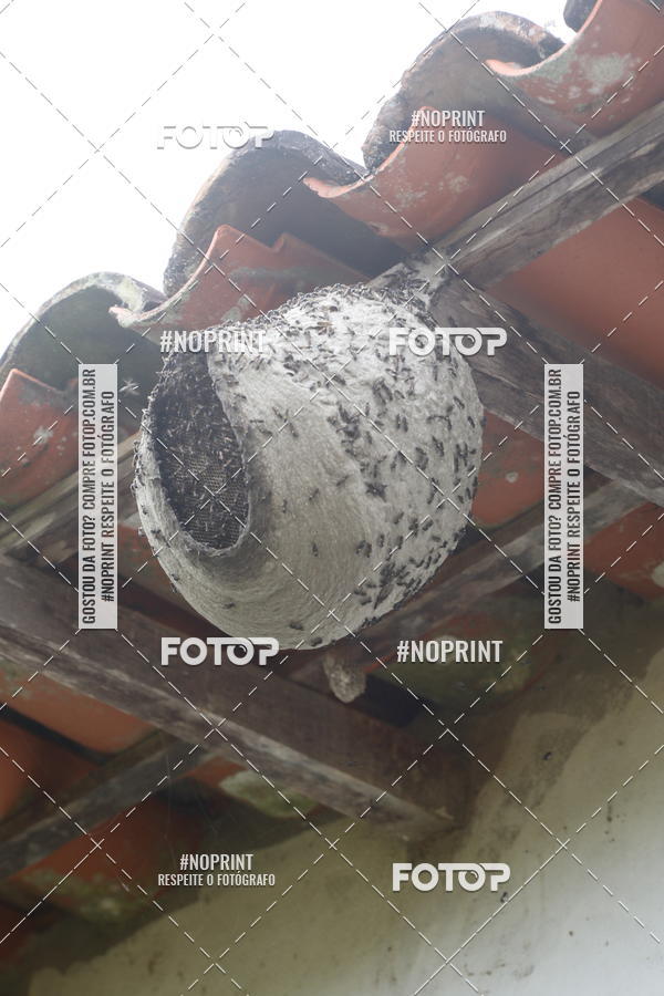 Buy your photos of the eventCopa das Vertentes - Etapa Final on Fotop