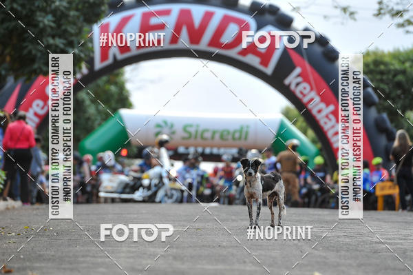 Buy your photos of the event3 Desafio Solidrio Pedal Porecau - 2019 on Fotop