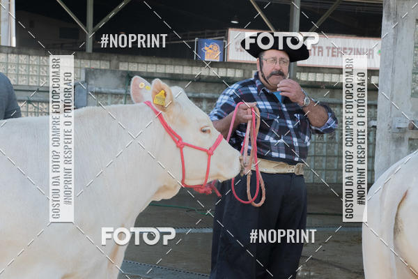 Acquista le foto dell'eventoExpointer 2dia in Fotop