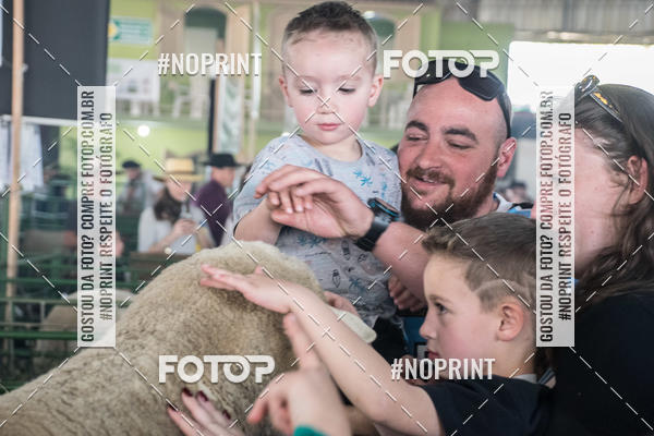 Acquista le foto dell'eventoExpointer 2dia in Fotop