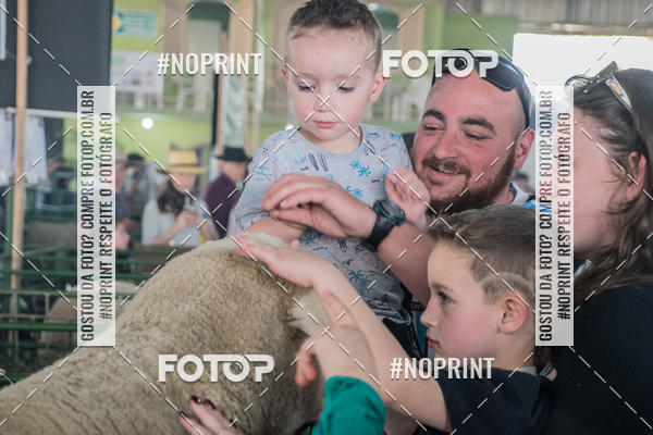 Acquista le foto dell'eventoExpointer 2dia in Fotop