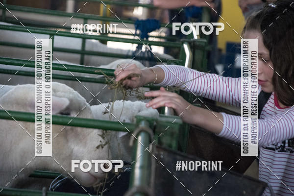 Acquista le foto dell'eventoExpointer 2dia in Fotop