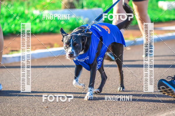 Buy your photos of the eventROCK RUN RIBEIRO PRETO on Fotop